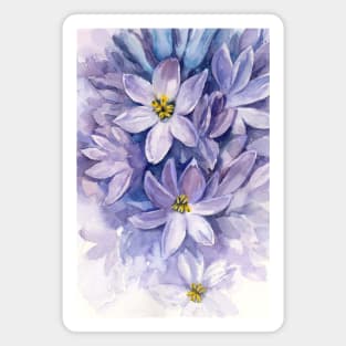 Bismarck Purple Hyacinth. Watercolor illustration. Magnet